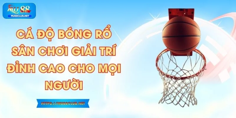 Cá Độ Bóng Rổ - Sân Chơi Giải Trí Đỉnh Cao Cho Mọi Người