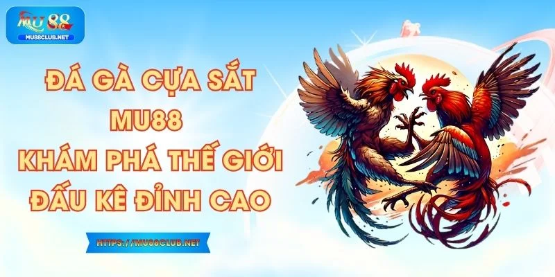 Đá Gà Cựa Sắt  MU88 - Khám Phá Thế Giới Đấu Kê Đỉnh Cao