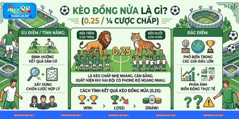 Hiểu rõ về kèo đồng nửa bóng đá