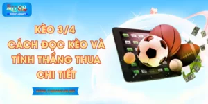 Kèo 3/4 - Cách Đọc Kèo Và Tính Thắng Thua Chi Tiết
