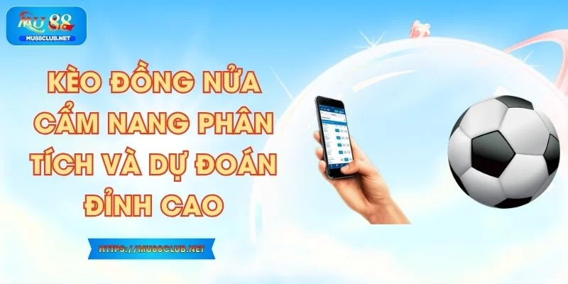 Kèo Đồng Nửa - Cẩm Nang Phân Tích Và Dự Đoán Đỉnh Cao
