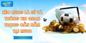 Kèo Rung Là Gì Và Thông Tin Quan Trọng Cần Nắm Tại MU88