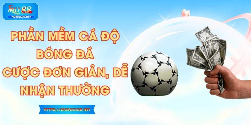 Phần Mềm Cá Độ Bóng Đá - Cược Đơn Giản, Dễ Nhận Thưởng